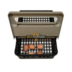 Ekonomik Yumurta Folluğu