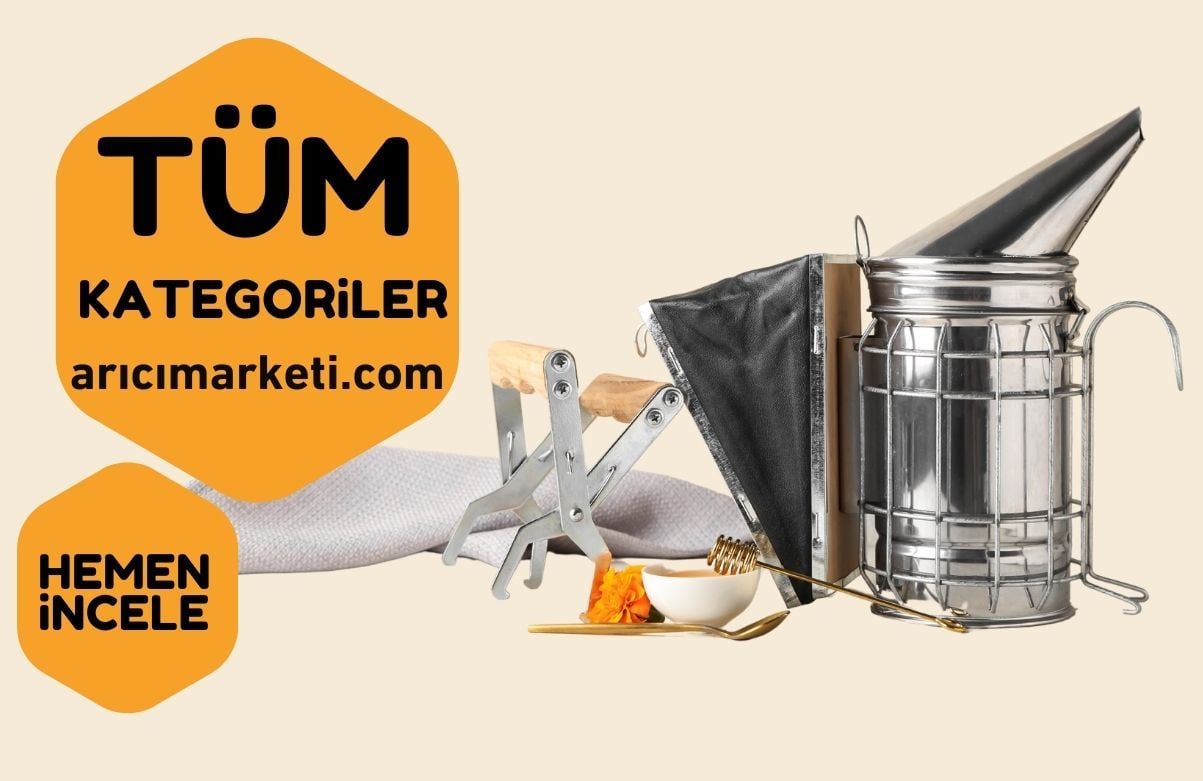 Tüm Kategoriler