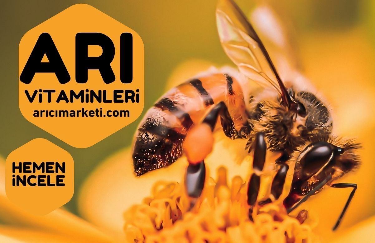 Arı Vitaminleri