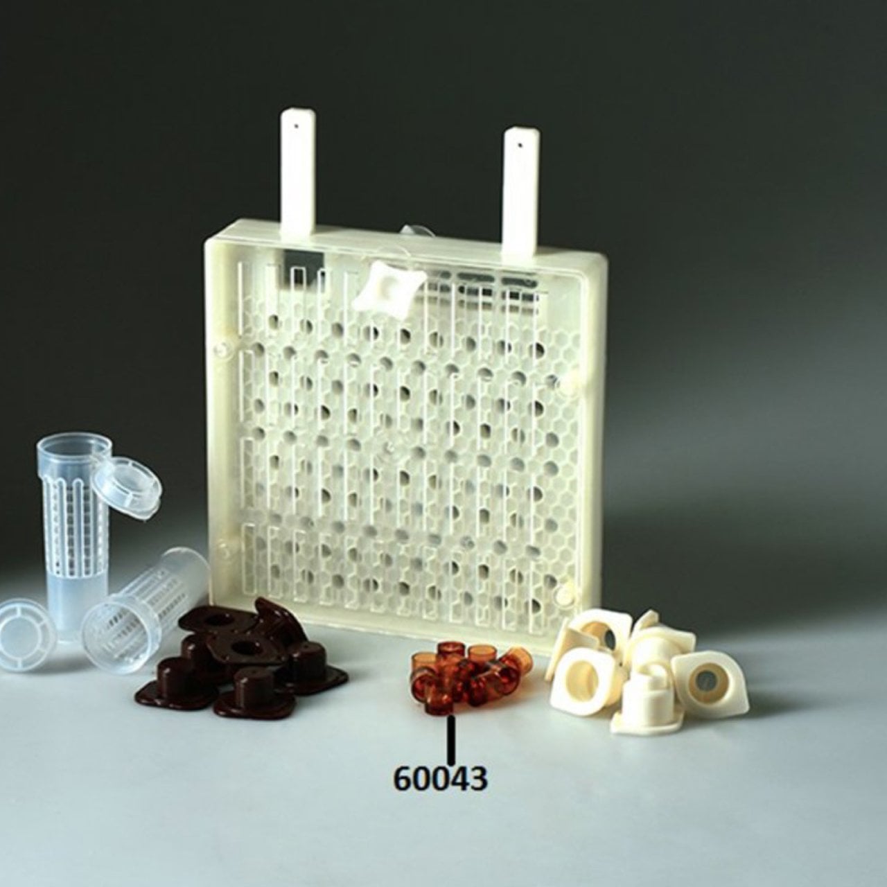 CİVAN - Ana Arı Yumurta Fincanı - Larva Gözü İç