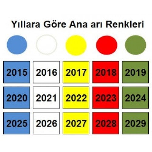 2025 Yılı Ana Arı İşaretleme Boyası - Mavi