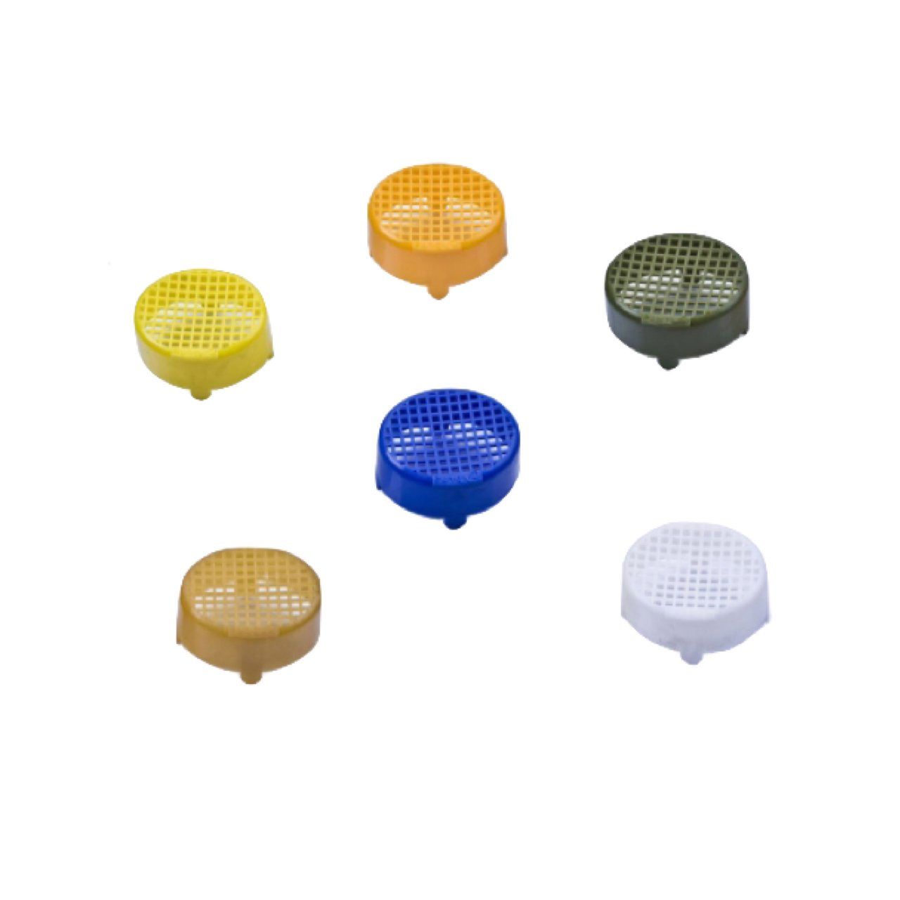 Ana Arı Memesi Hapsetme