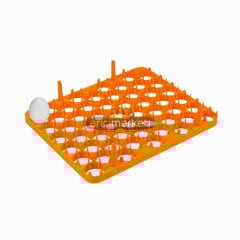 54'lük  Gelişim Viyolü / Tavuk Yumurtası İçin