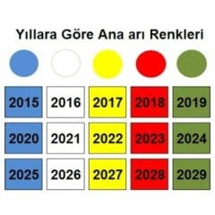 SCHNEIDER Ana Arı İşaretleme Kalemi - 5 Renk Seçenekli
