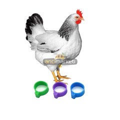 10 adet Tavuk Ayak Klipsi ( Çıtçıtlı) 16 mm