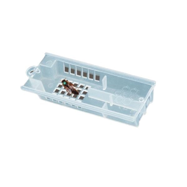 Plastik Ana Arı Kafesi - Şeffaf Kapaklı