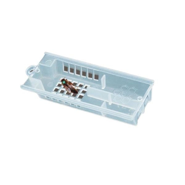 100 Adet Plastik Ana Arı Kafesi - Şeffaf Kapaklı